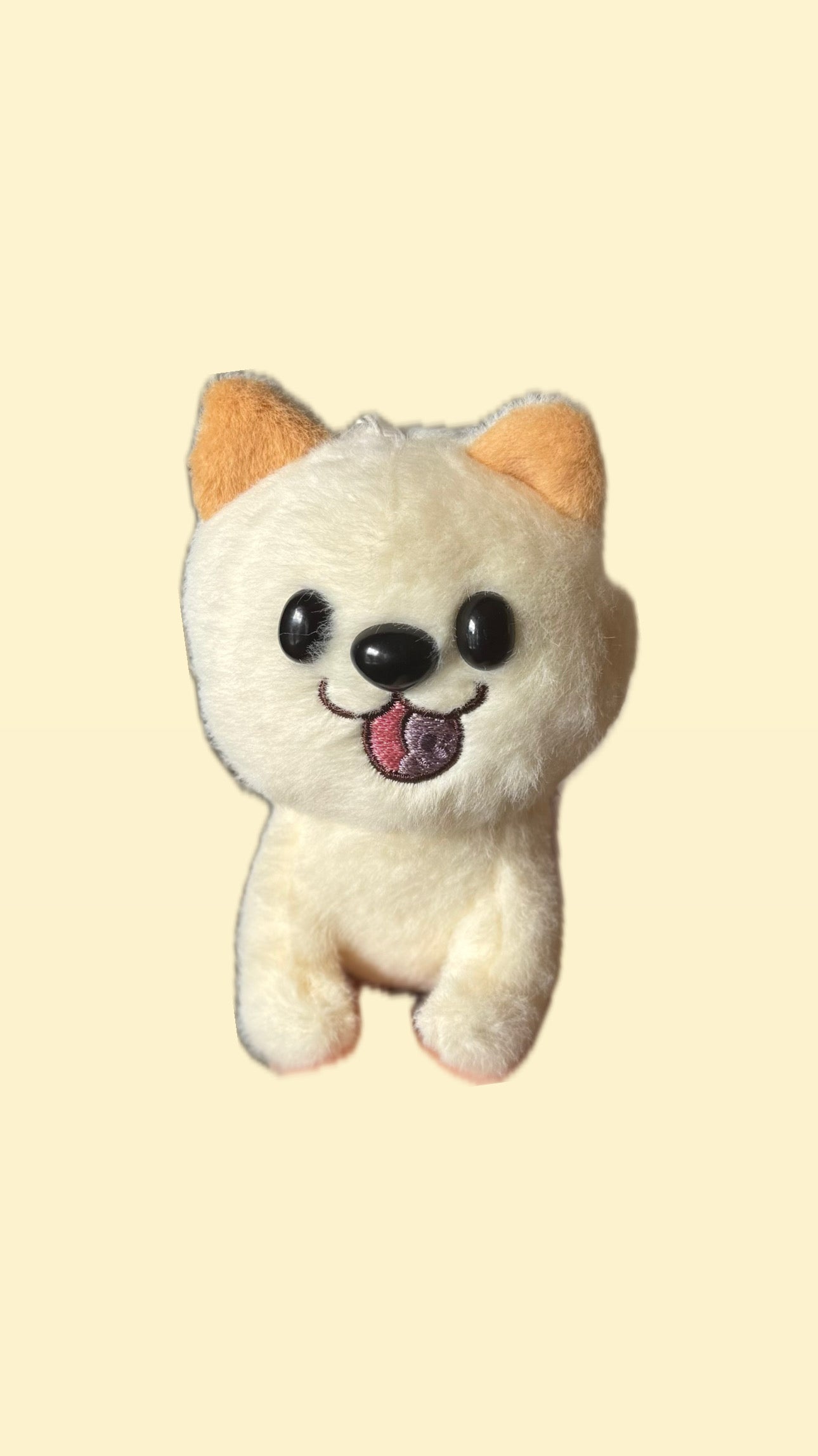 Pre-Order Winnieboo Plushie