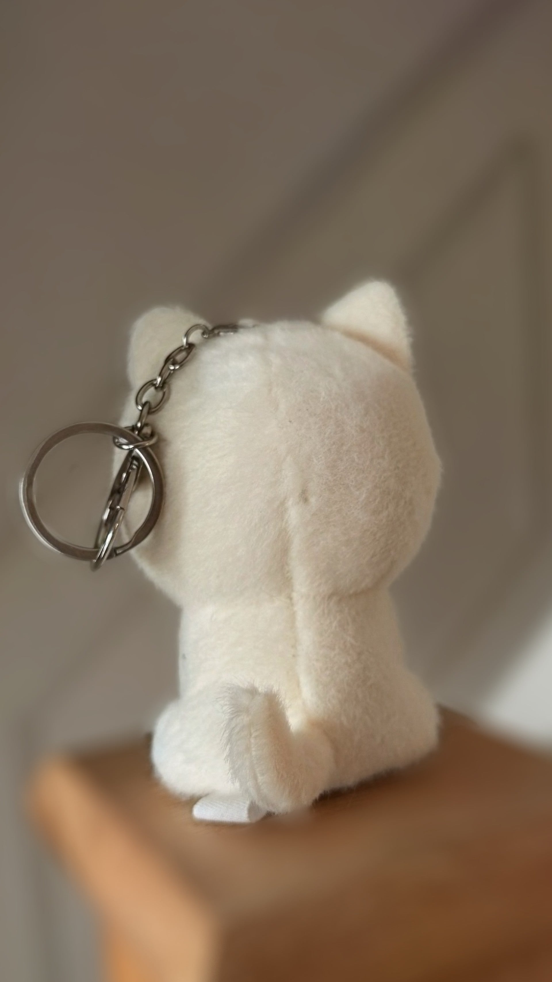 Pre-Order Winnieboo Plushie