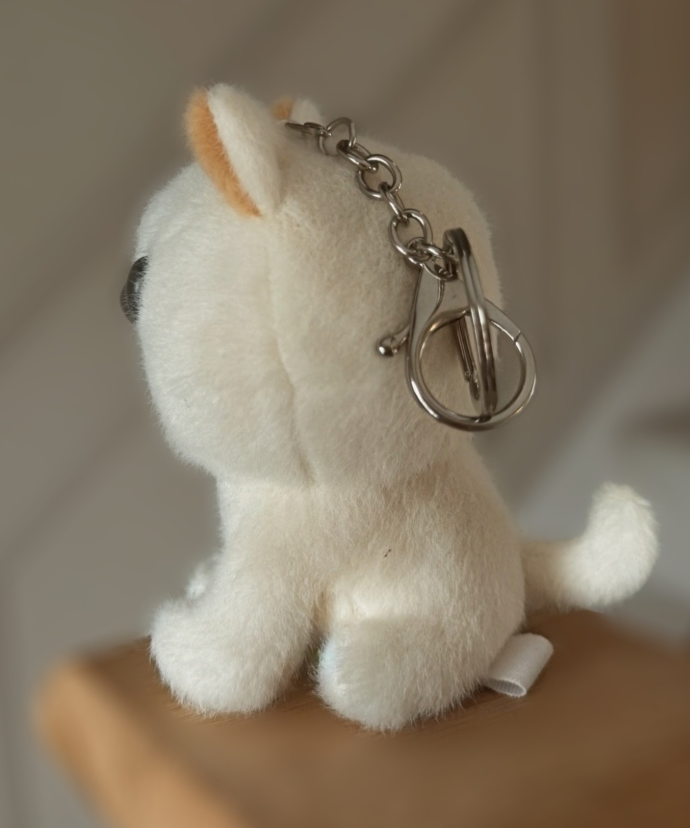 Pre-Order Winnieboo Plushie